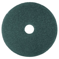 PAD,CLEANER,17",BE