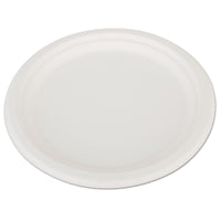 PLATE,10",HVY WT,500/CT