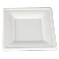 PLATE,6X6,SQ,500,FIBER,WH