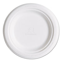 PLATE,6",HVYWT,50/PK,NTWH