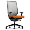 CHAIR,NUCLEUS,MSH,APRICOT